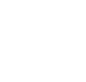 AAFFETTI PUMPS - PUMPS FOR CORROSIVE LIQUIDS